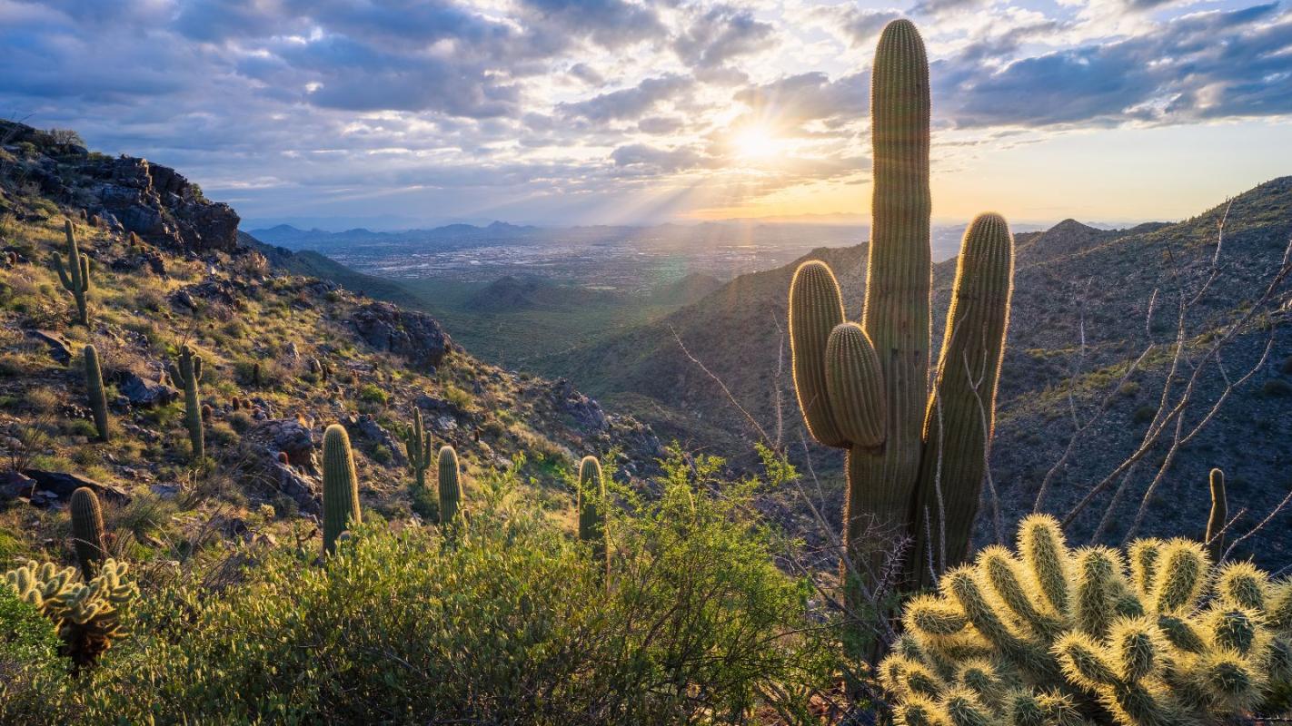 AZ/Arizona/Scottsdale